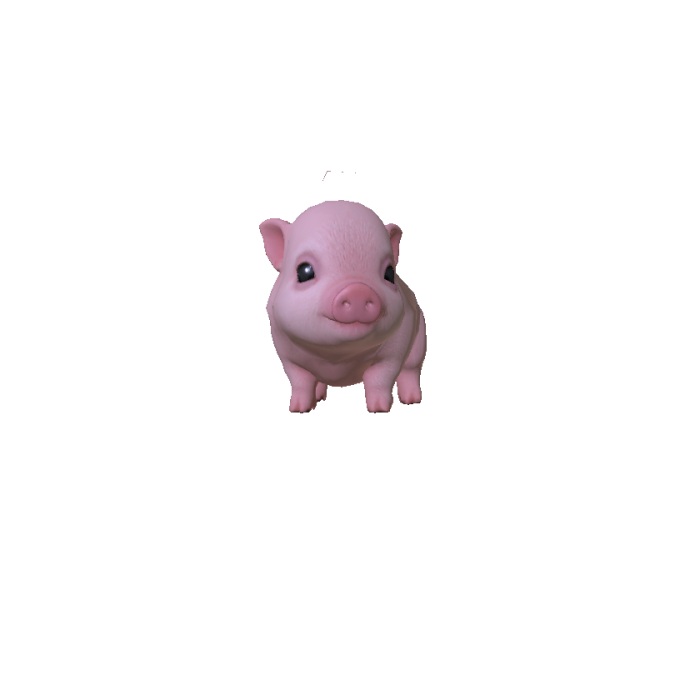 Mini Pig