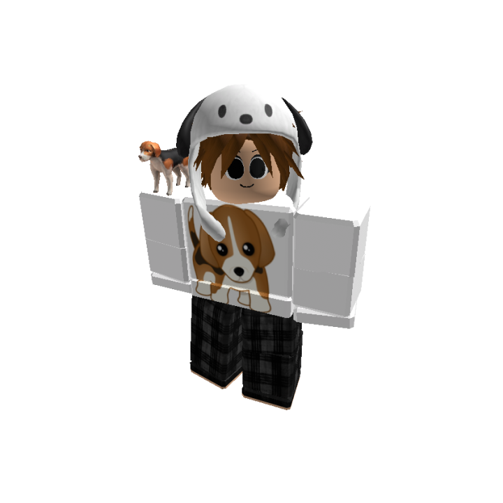 Roblox banner for @beagle