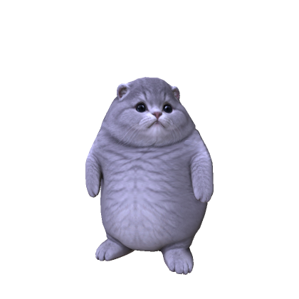 Big Fat Cat