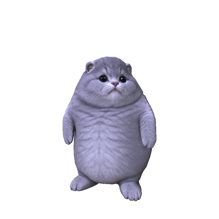 Big Fat Cat
