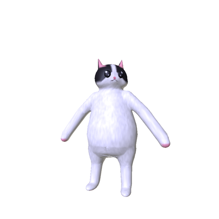 Gatitoooo