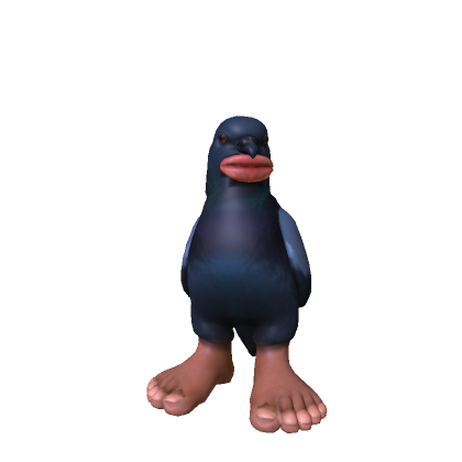 Sigeon Whispering Pigeon