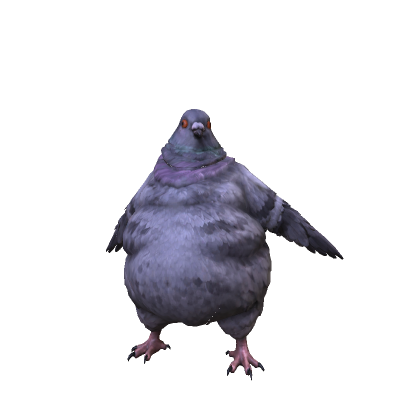 FAT PIGEON