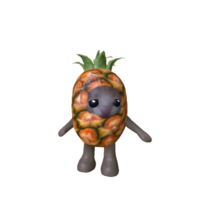 Pineapple Cat