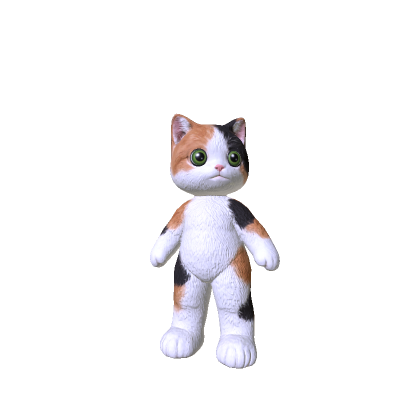 Cat Kitty