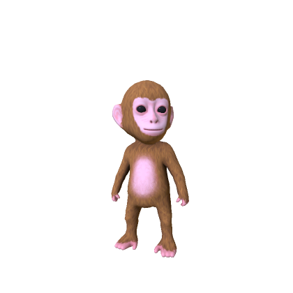 Baby Monkey
