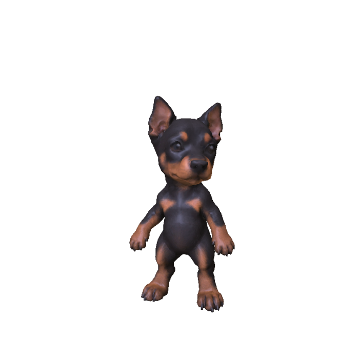 Cute Rottweiler Puppy