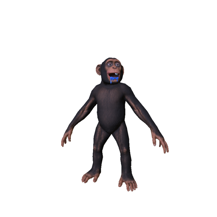 funny monkey