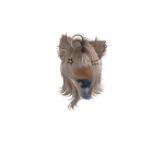 roomergles's avatar