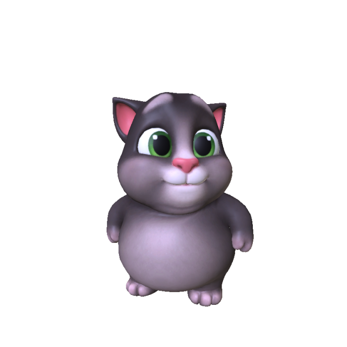 Chubby Grey Kitty