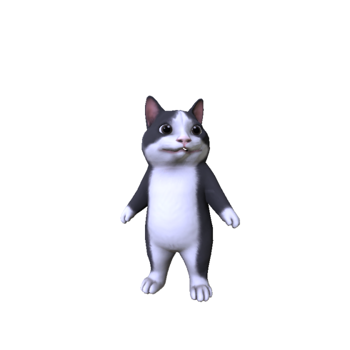 Beluga cat meme