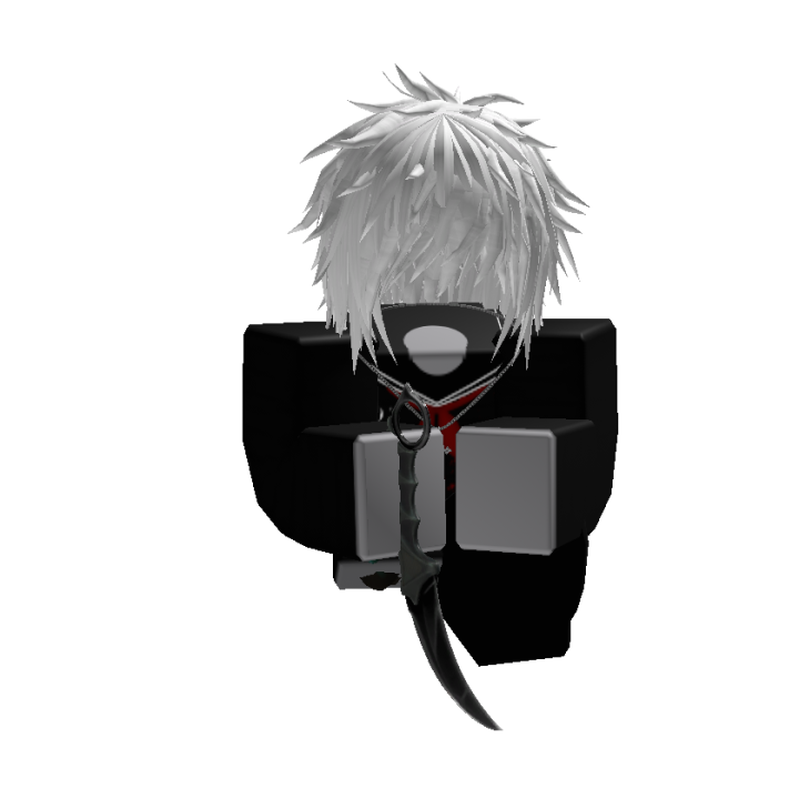 Roblox banner for @Zet