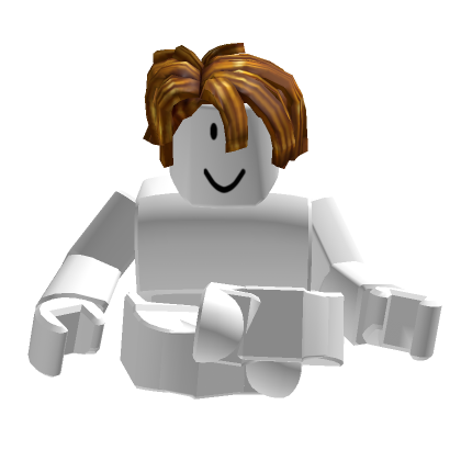 Full avatar of roblox_user_1529561979