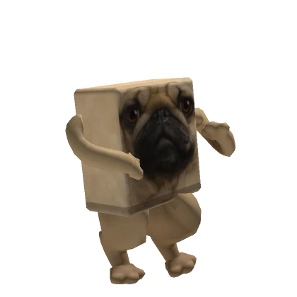 ashinycard's avatar