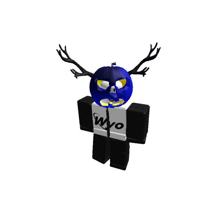 Roblox banner for @Wyoming