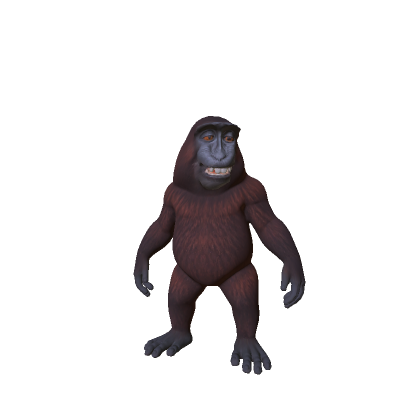 Little Smiling Monkey 🐵