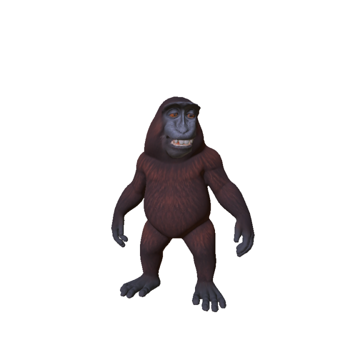 Little Smiling Monkey 🐵