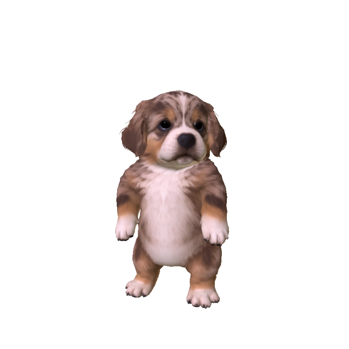 Little Shepherd Puppy