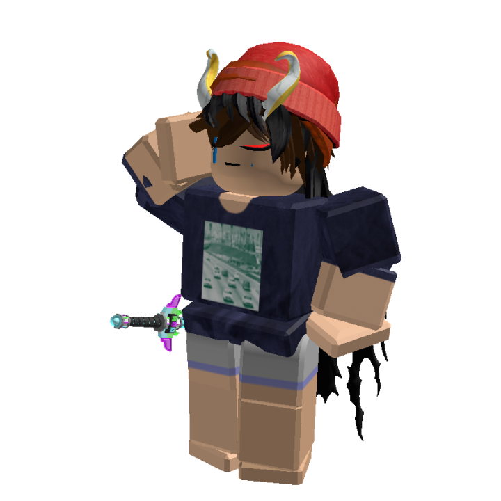 Roblox banner for @www28827