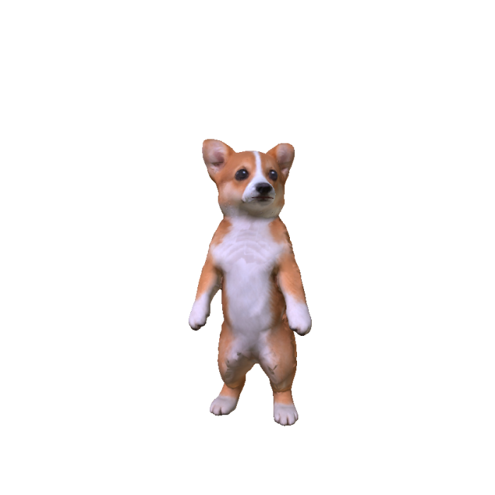 Corgi Puppy
