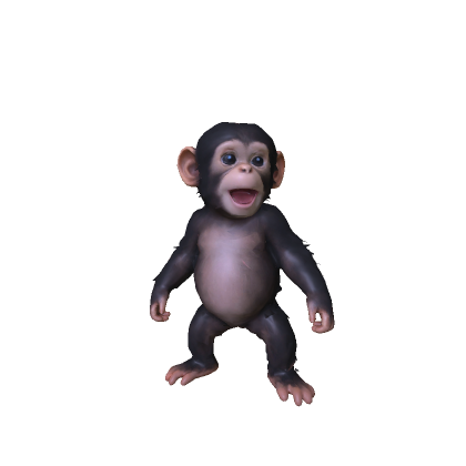 Baby Chimp Monkey thumbnail