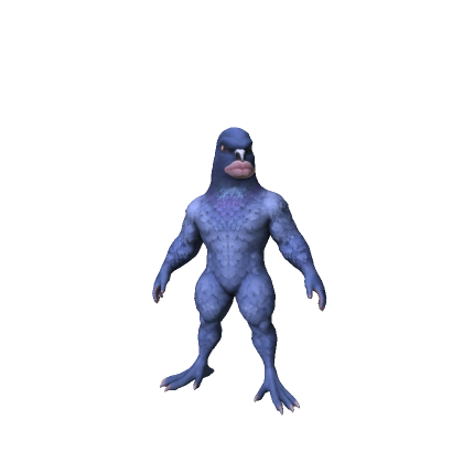 Weird Pigeon Bird
