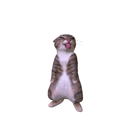 Rigby Cat
