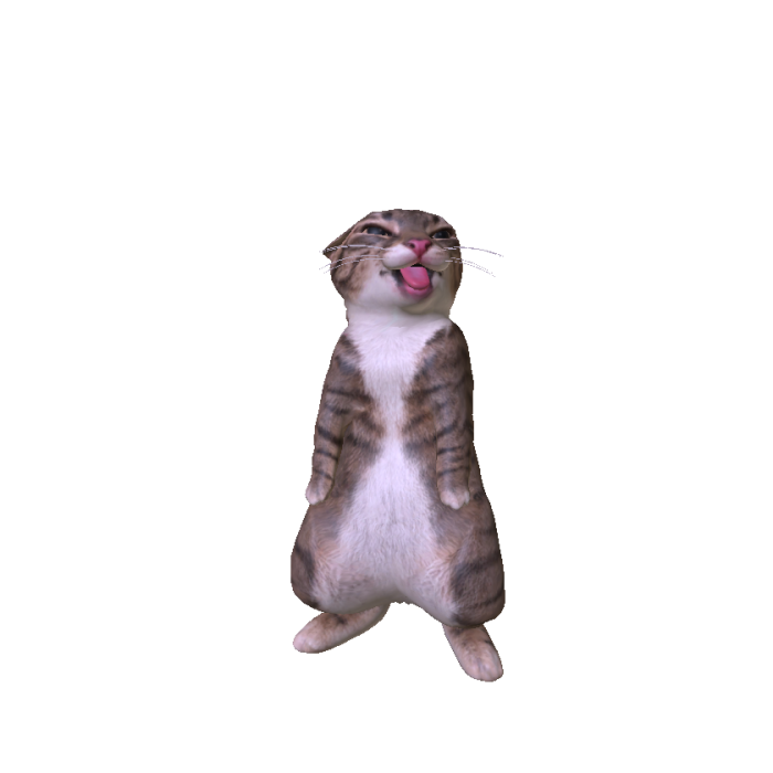 Rigby Cat
