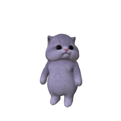 Chubby Cheeked Kitten