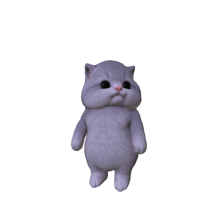 Chubby Cheeked Kitten