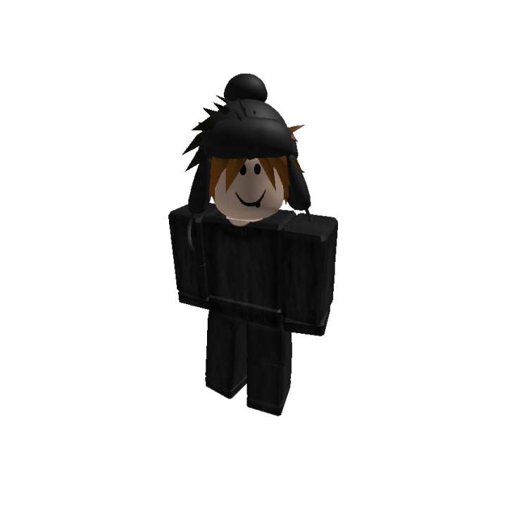 Roblox banner for @net