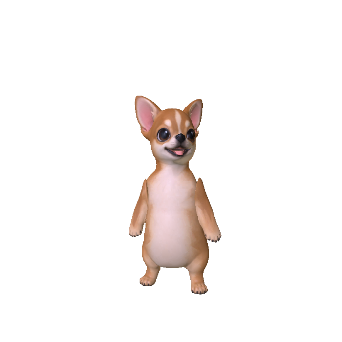 Chihuahua