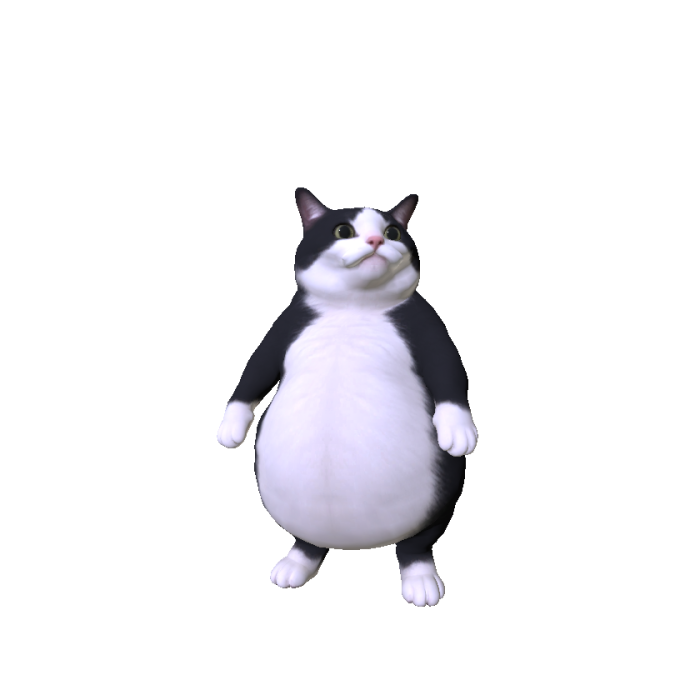 Chubbiest Cat