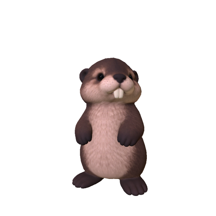 Cute Beaver