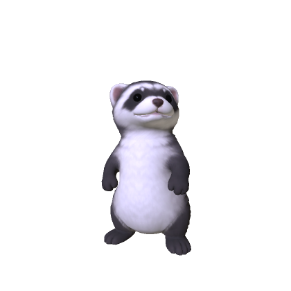 Mini Ferret