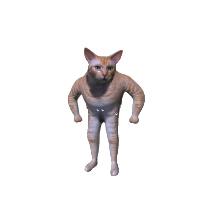 Realistic Cat man Body