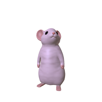 Rat