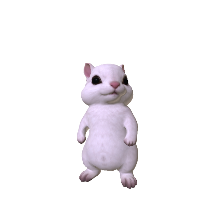 Cute Mini Chimpunk