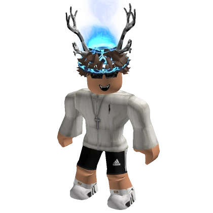 vexturs | Roblox Inventory History - Rolimon's