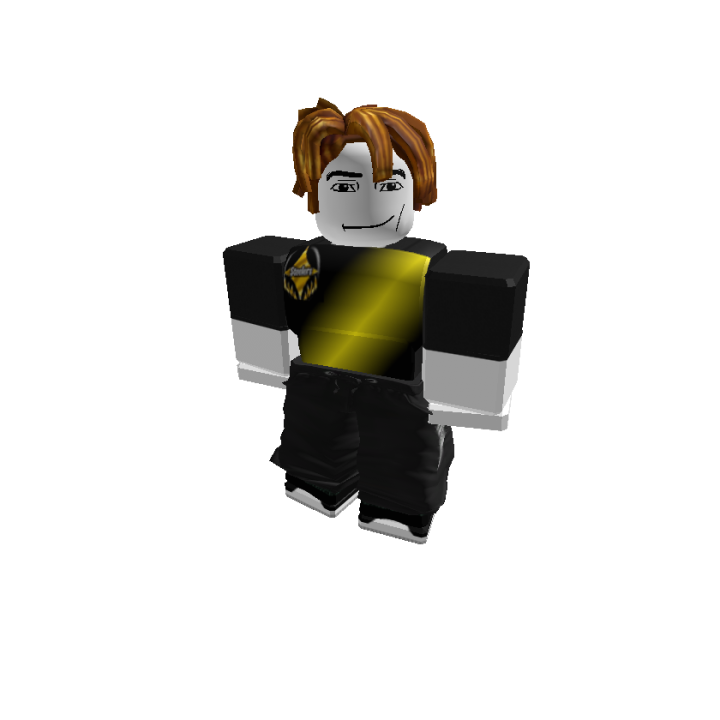 Roblox banner for @pagoto98
