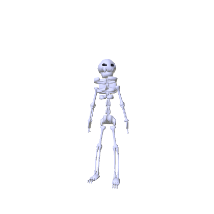 Skelly