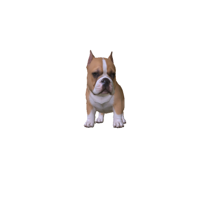 Mini Cute Pitbull thumbnail
