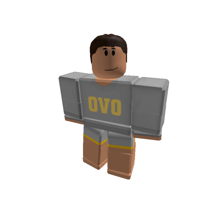 Roblox banner for @Environ