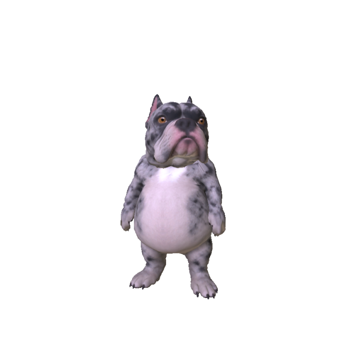 Chubby Bulldog