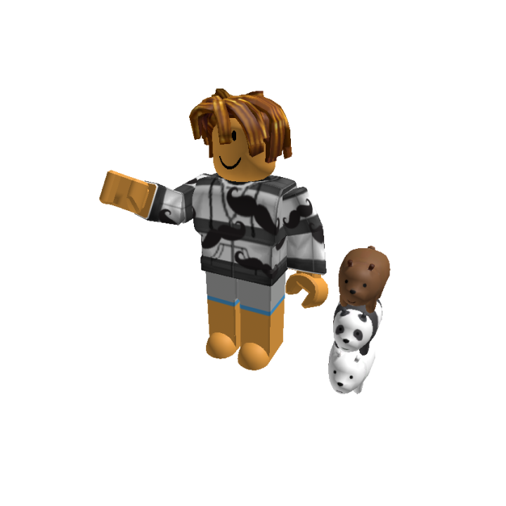 Roblox banner for @laparard