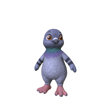 Pigeon