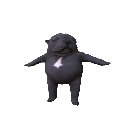 Catálogo