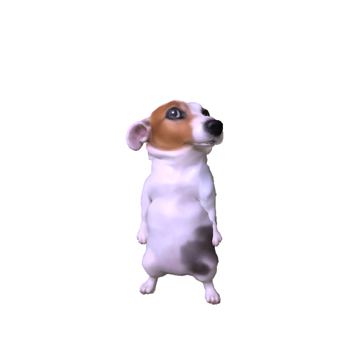sitting dog