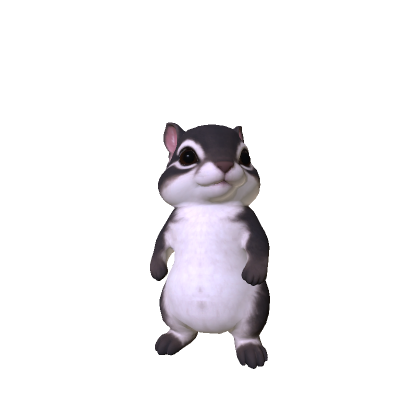 Cute Mini Chimpunk