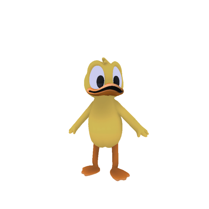 Duck